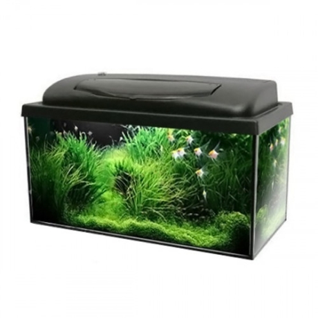 Akvaarium Aqua 4 Home 40 X 25 X 25, 25l