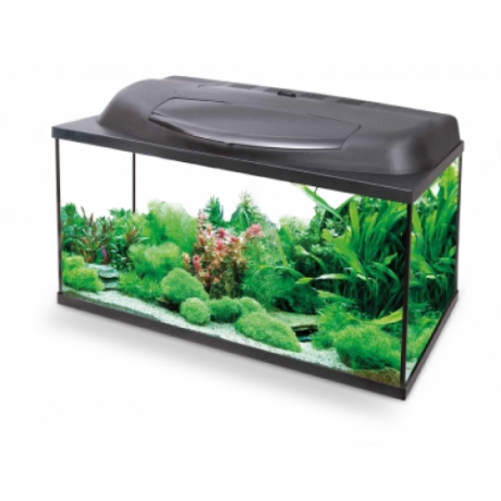 Akvaarium Aquael Aqua 4 start PAP 60 X 30 X 30 (54l)